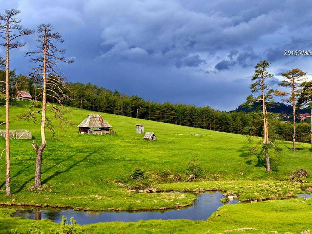 Cottage Vodice Zlatibor Ngoại thất bức ảnh