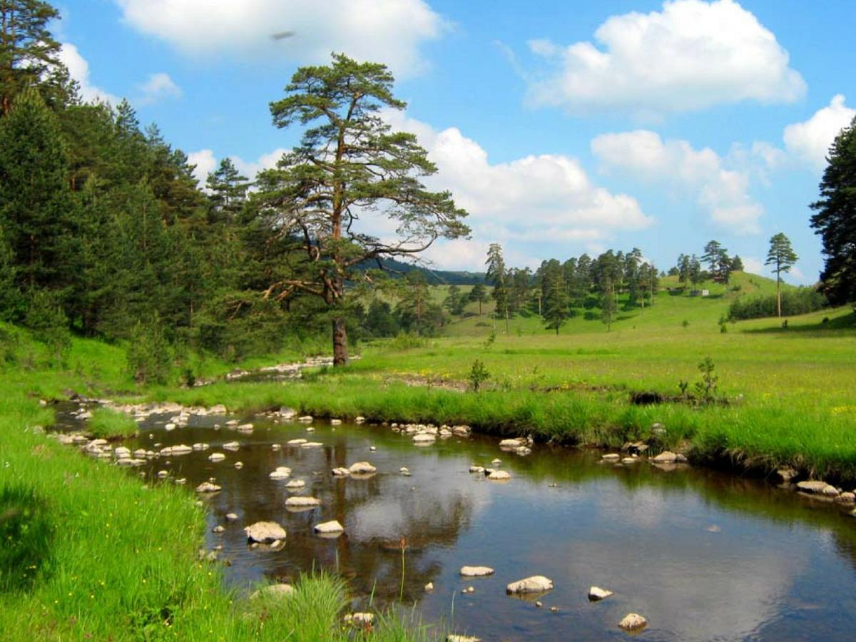 Cottage Vodice Zlatibor Ngoại thất bức ảnh